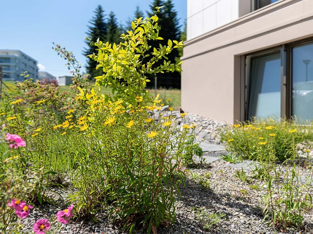 Der Garten
